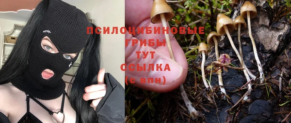 таблы Аркадак