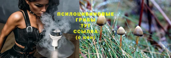 соль ск Армянск